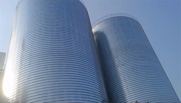 苏仙2座混凝土高架卷板仓